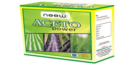 Acto Power by Norg Biotech Private Limited